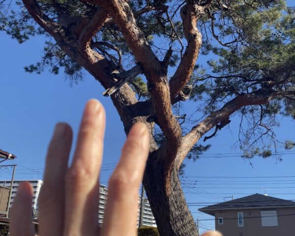 【気のつかい方　LINE友だち】さんとのやりとり②　【質問と回答】