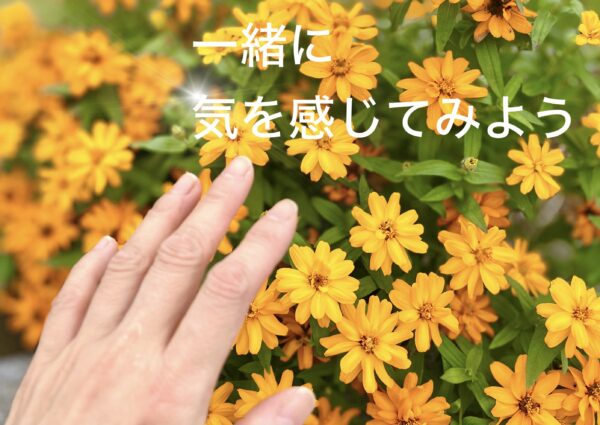 申し込み